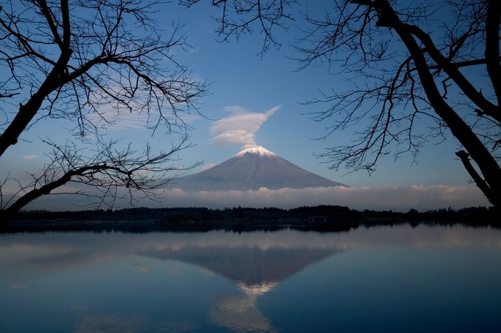 A more shareholder friendly Japan