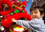 Boy (5-7) touching dragon mask at carnival, smiling, portrait