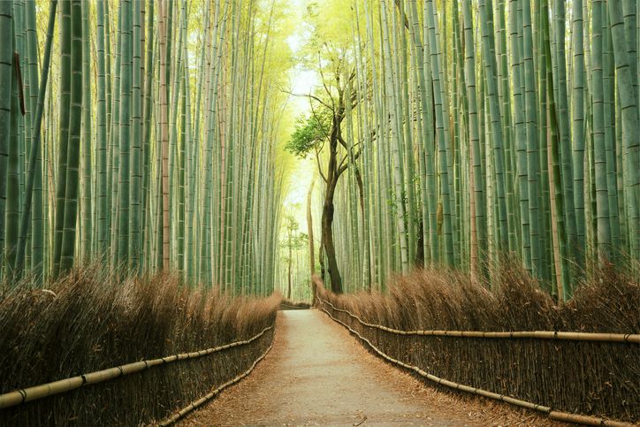 A look at the performance of sustainable funds