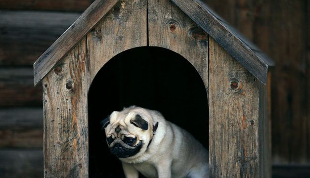A look inside Asia's fund doghouse