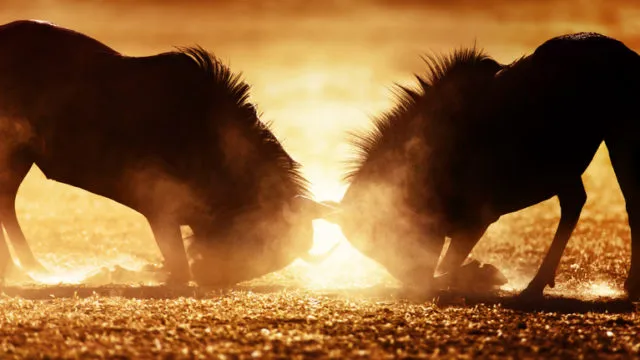 HEAD-TO-HEAD: Fidelity vs Investec
