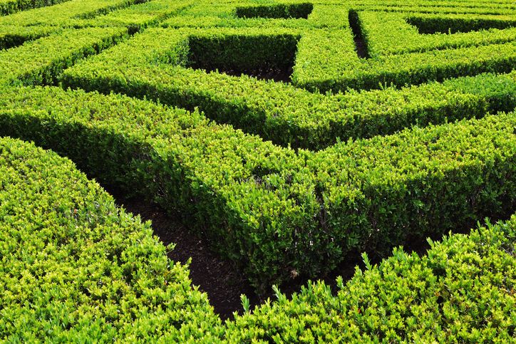 Green labyrinth in Portugal