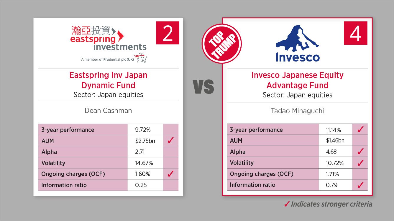 20 February - Japan equities