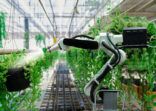 Automatic agricultural technology robot arm watering plants tree