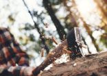 Strong woodcutter cuts tree in forest, wood chips fly apart. Blurred background