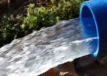 Natural snow waters garden irrigation