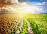 The road separating the desert and the oasis. Concept on ecology, Global warming, climate and environmental protection.