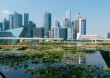 BNPP AM to roll out multi-asset ESG funds in Singapore