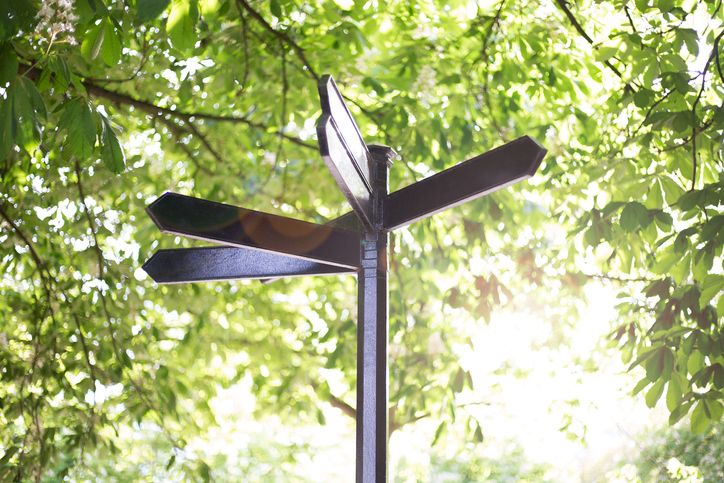 Blank metal signpost on green background