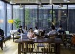 Asians Millennials busy working in co-working space.
