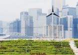Renewable Energy Green Urban Farming in Hong Kong China