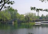 Beautiful Spring Season at West Lake(Xihu) Hangzhou