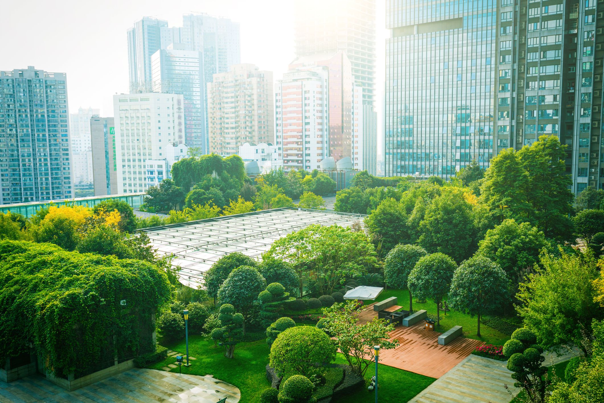 Trees between Office Buildings