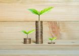 coins stack on wood table with green plant growing on. money saving business finance success wealth investment budget concept. startup plan. ESG.