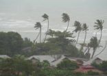 Pabuk typhoon, ocean sea shore, Thailand. Natural disaster, eyewall hurricane. Strong extreme cyclone wind sways palm trees. Tropical flooding rain season, heavy tropical storm weather, thunderstorm