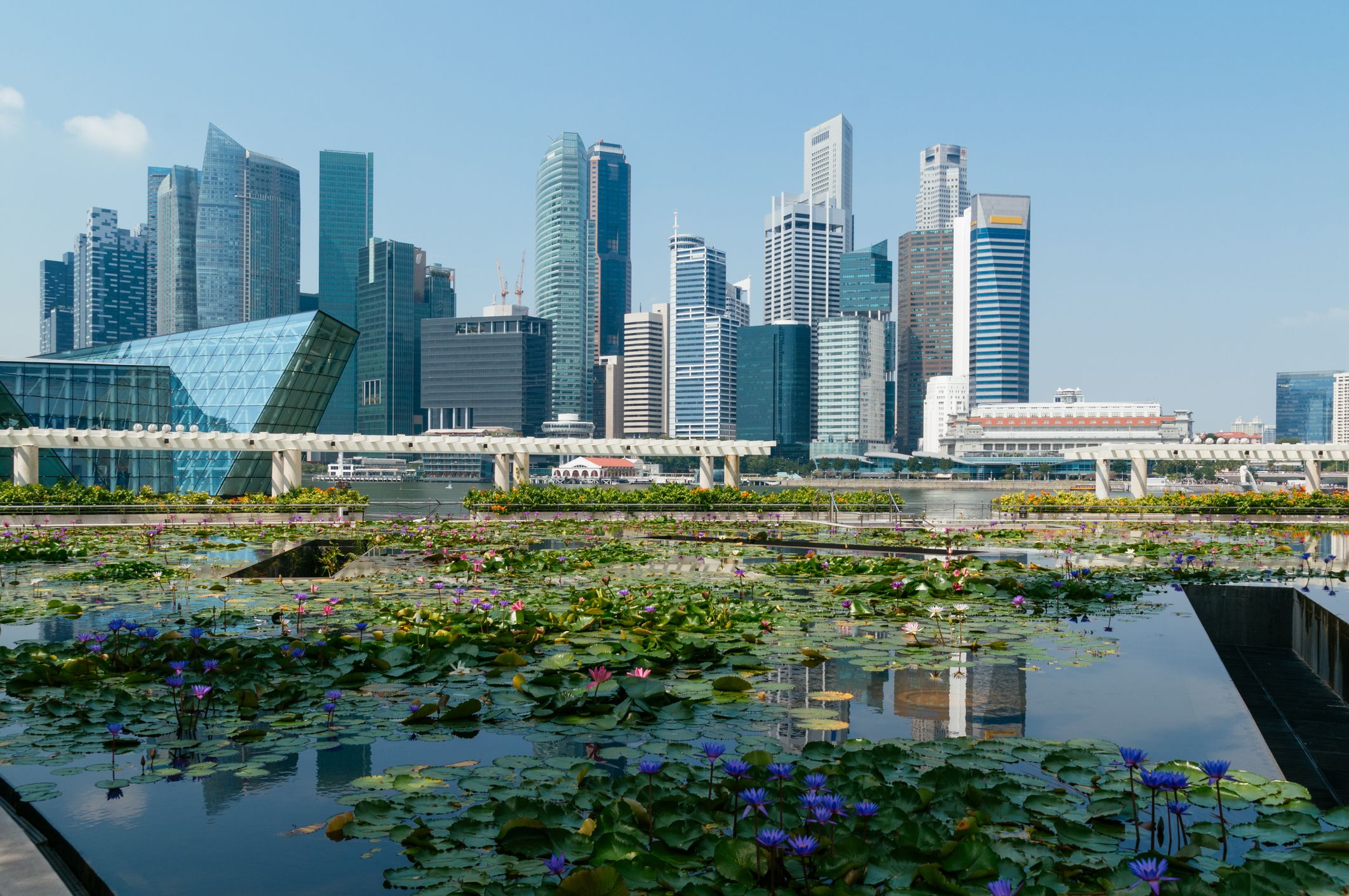 Singapore Skyline.