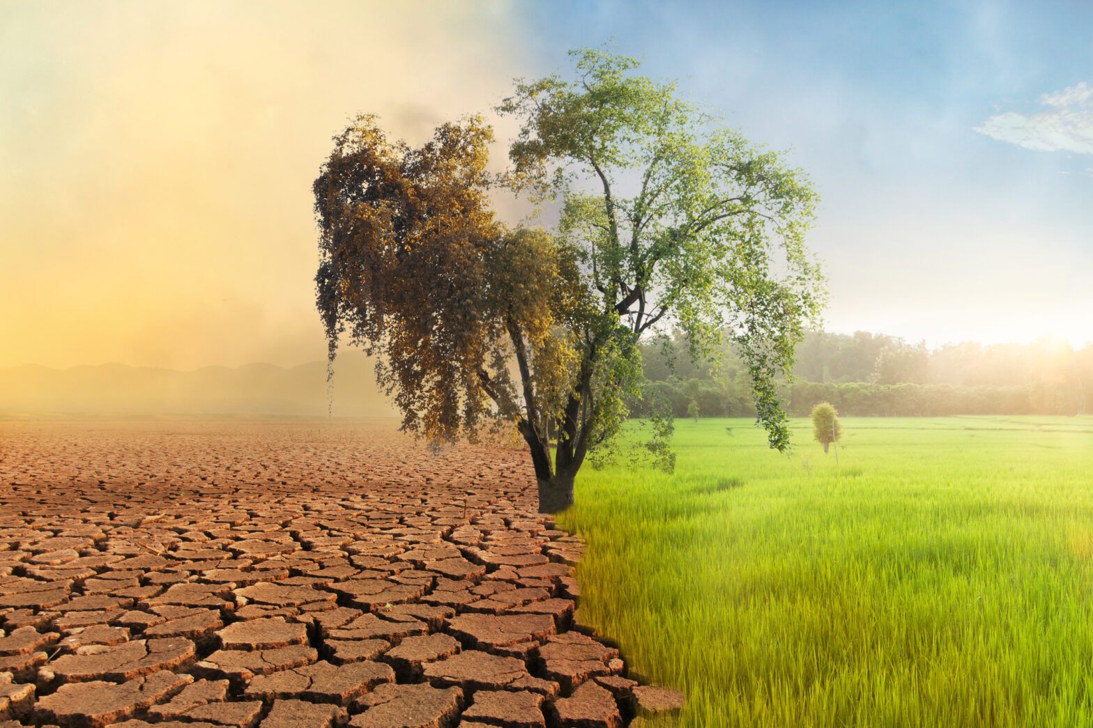 MSCI Survey: financial asset prices don’t reflect climate risks