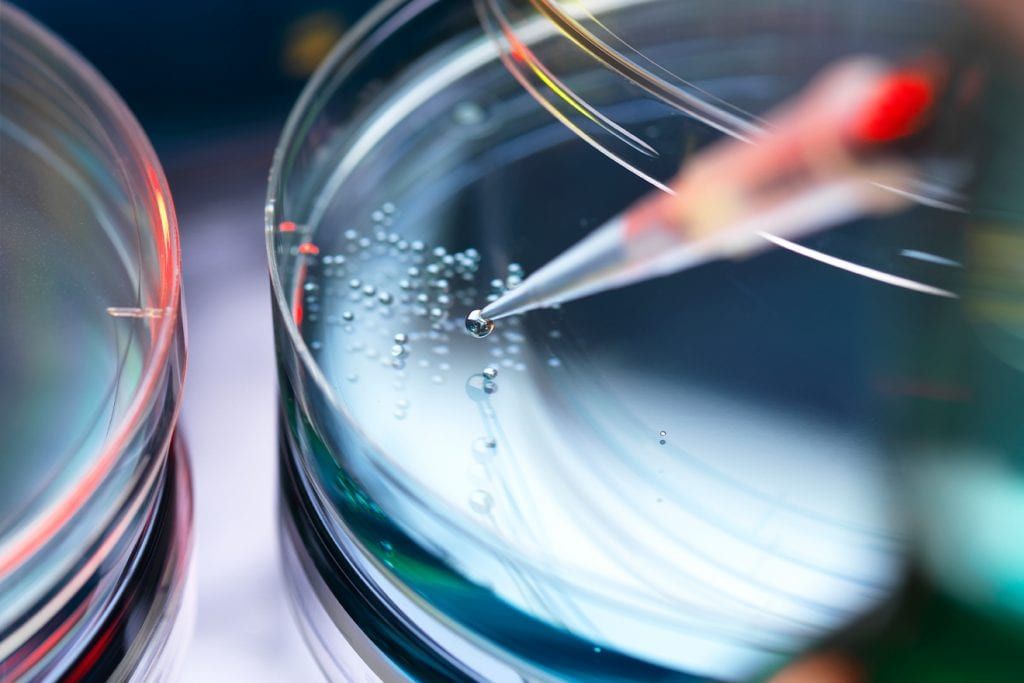 Healthcare’s innovation shifts into high gear