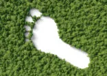 footprint in the forest