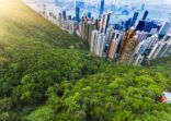 Green bonds to spur Hong Kong sustainability agenda
