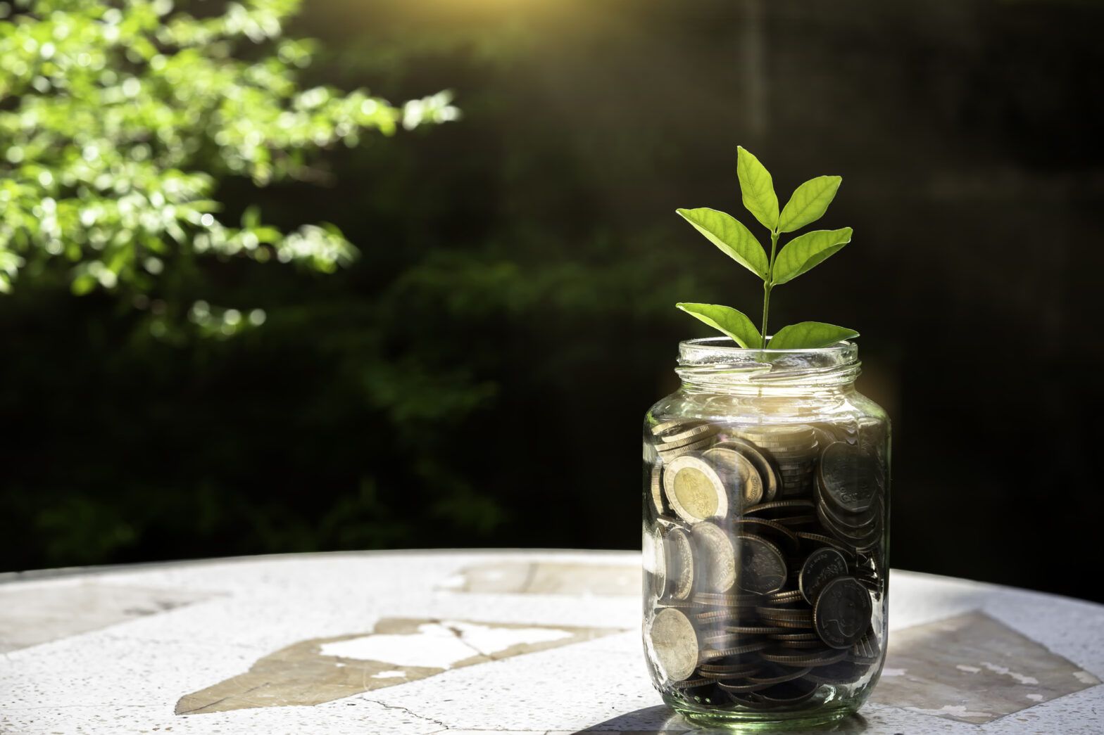 Investment firms have incentives to fight climate change
