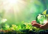 Hands Holding Globe Glass In Green Forest – Environment Concept – Element of image furnished by NASA