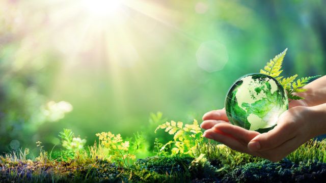 Hands Holding Globe Glass In Green Forest – Environment Concept – Element of image furnished by NASA