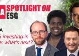 ESG investing in Asia: what's next?