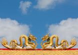 Chainese gold dragon on blue sky backgrounds