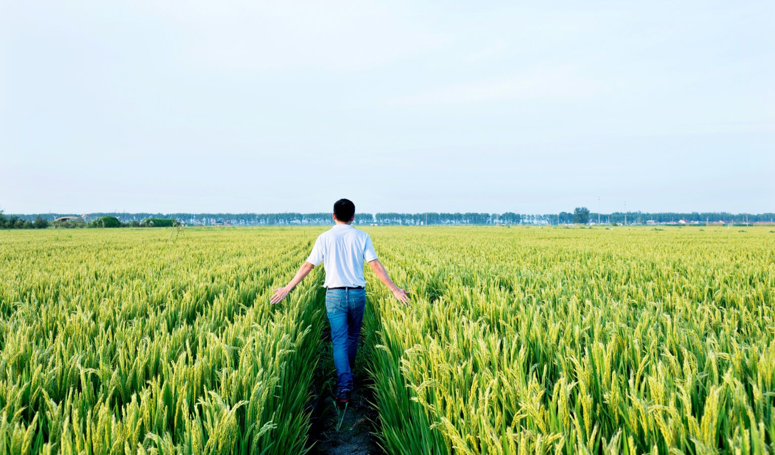 Robeco launches green bonds strategy