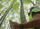 Ecologist on fieldwork. Forester examines trees in their natural condition in the forest and taking samples for in-depth research. Ecosystem care and sustainability.