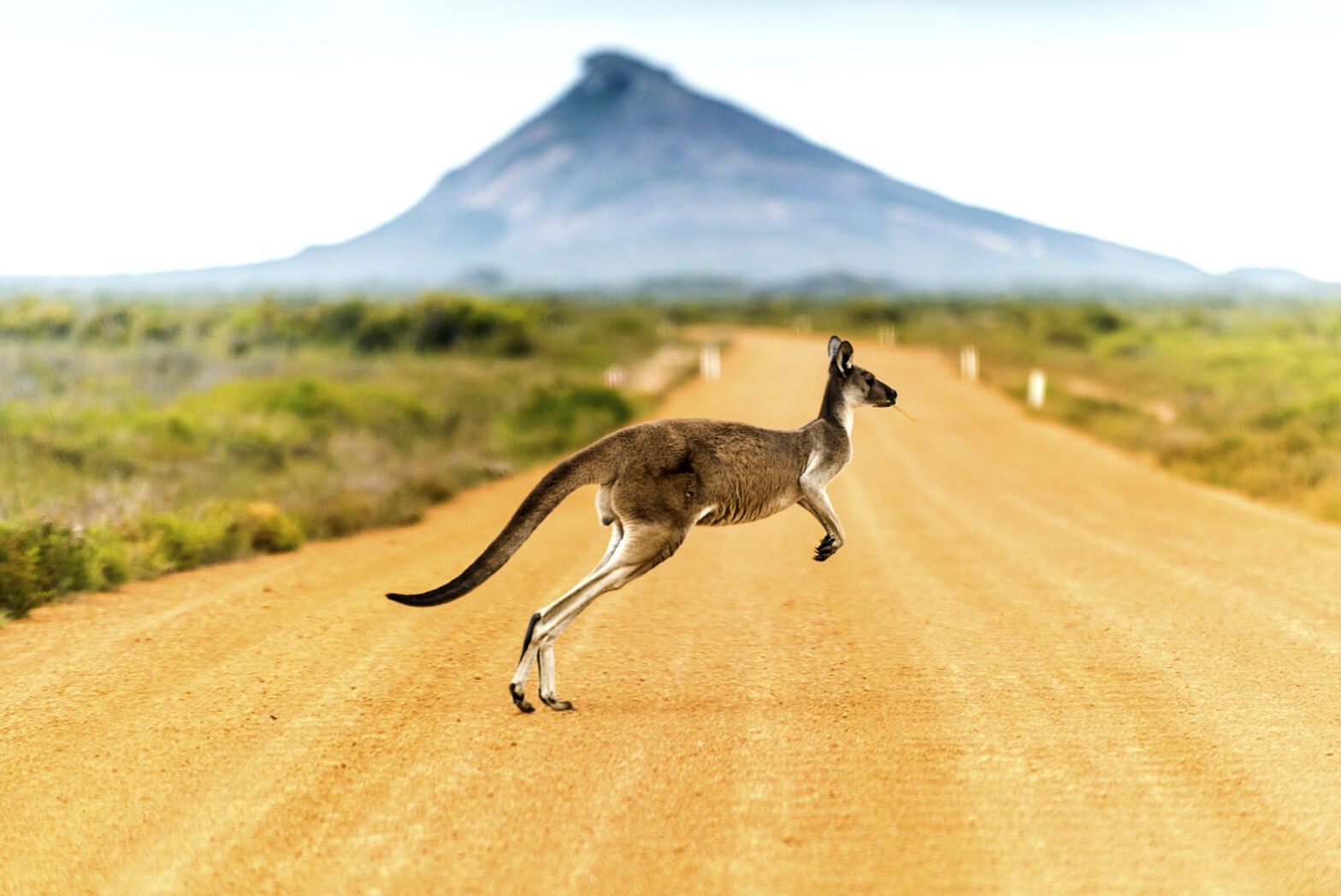Brookfield launches evergreen infrastructure strategy to the Australian wealth market