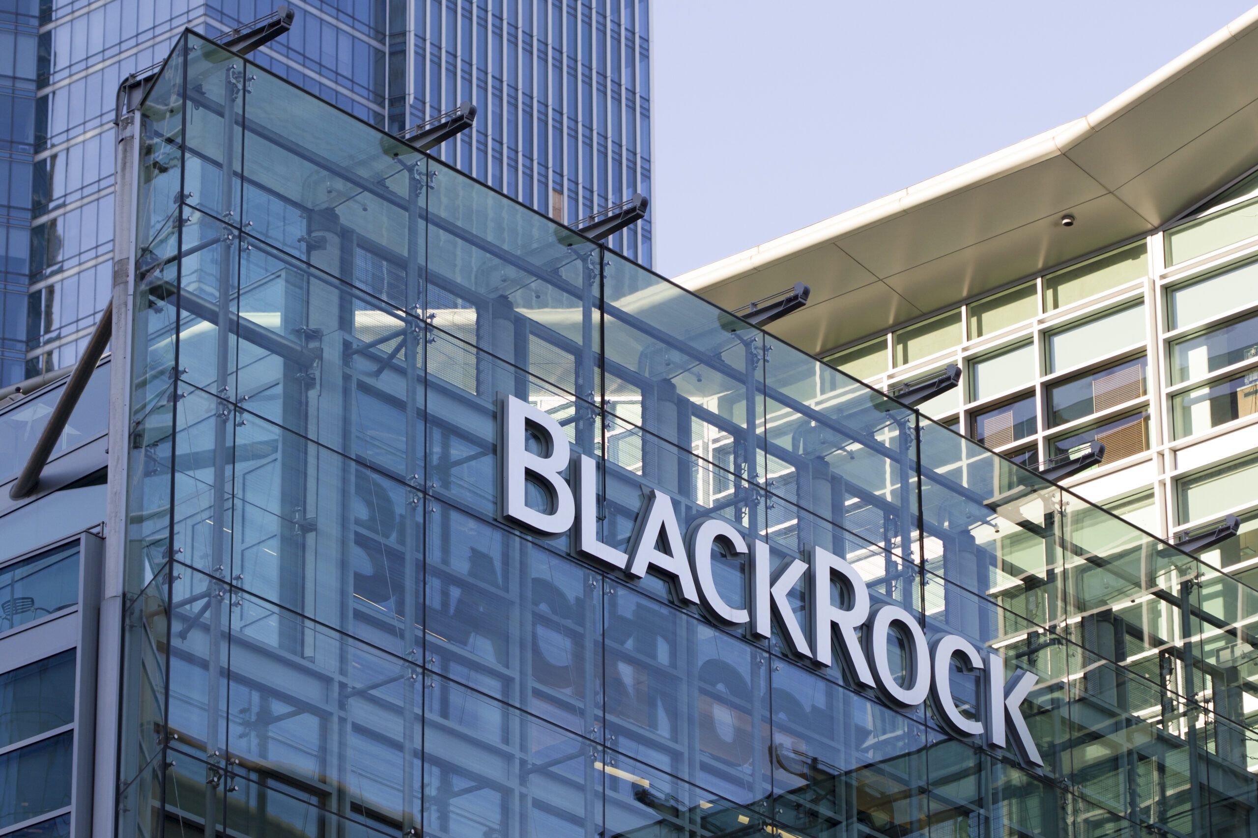 BlackRock: Prolonged policy uncertainty is biggest risk to US growth