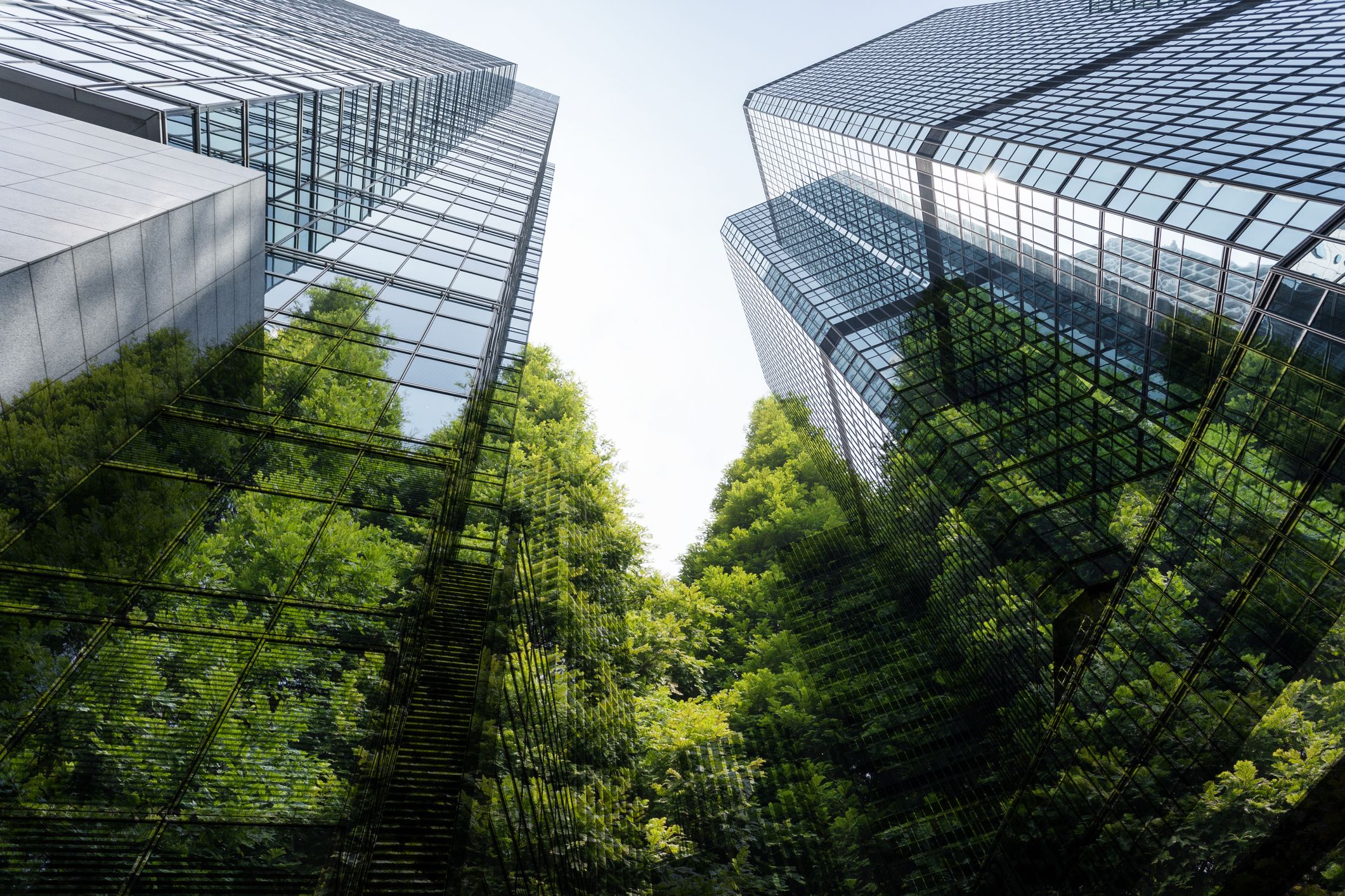 Temasek-backed Clifford Capital raises $345m for blended finance fund