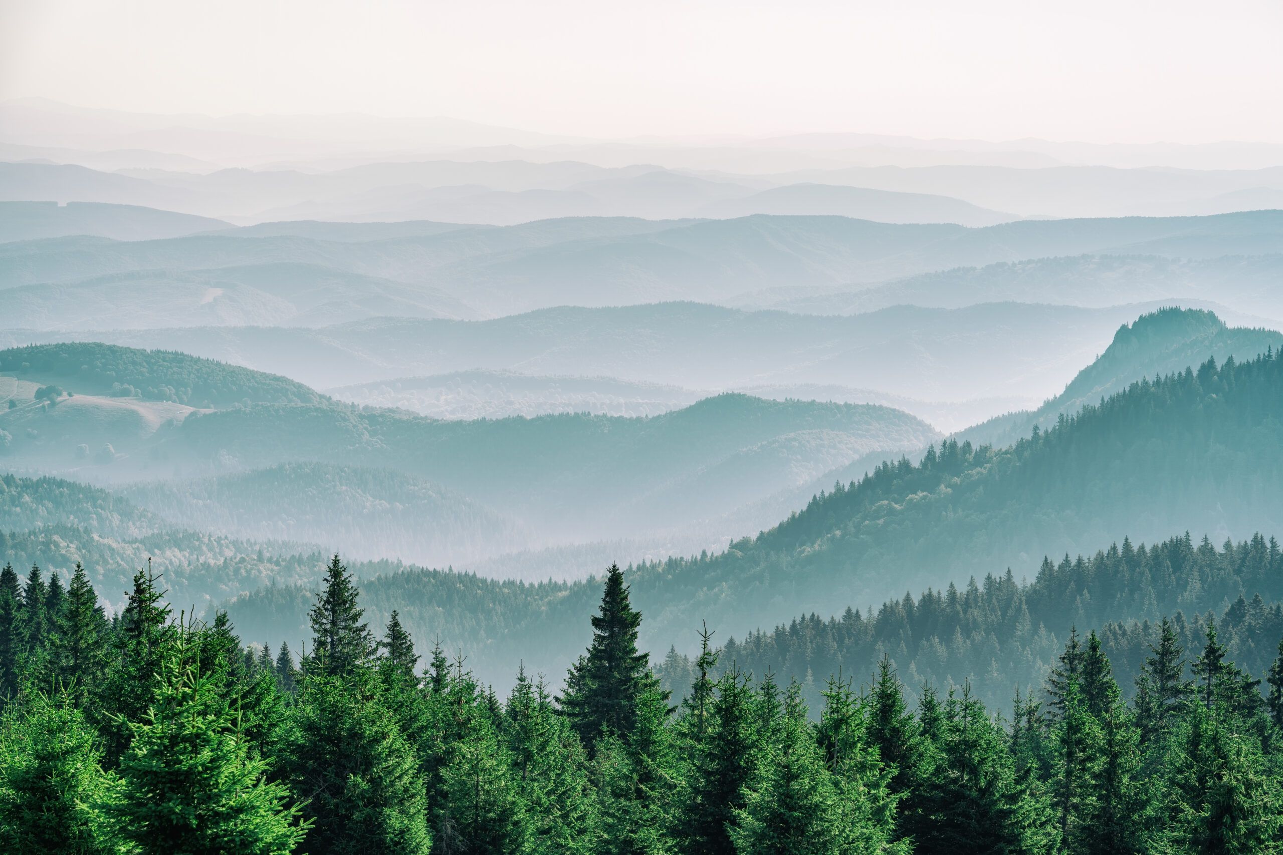 JPMAM rebrands Campbell Global to J.P. Morgan Natural Capital